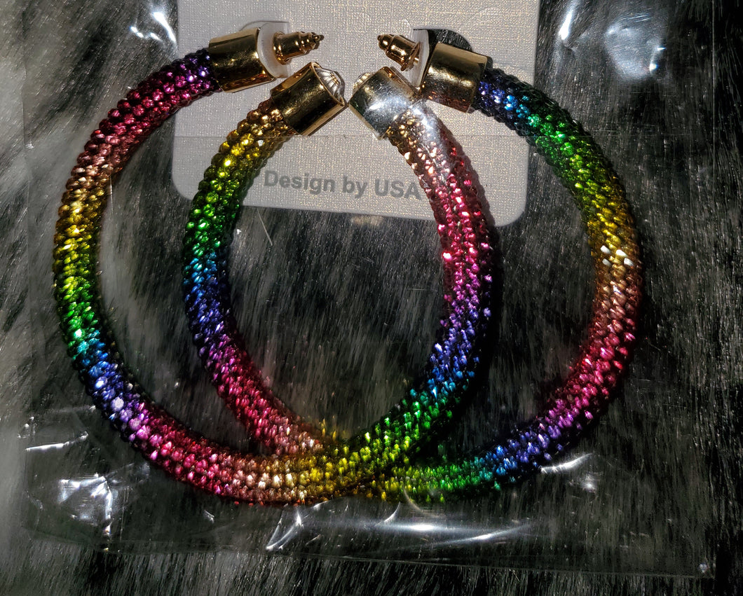 Hoops In Color Earrings